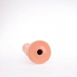 Dildo Todd HT22F 26 cm Dildo Todd HT22F 26 cm